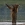 Grizzly avatar