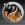 luctinu avatar