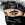 LinnuxFX avatar