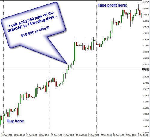 Understanding Basic Principles In Forex Market Article Contest - 