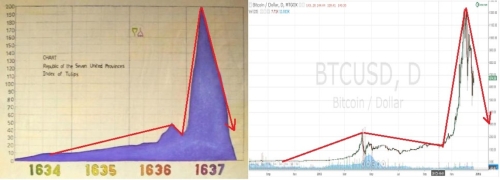 Tulip Mania Chart