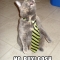 daveOne