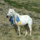 Uldegdel's avatar