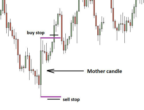 Forex probe