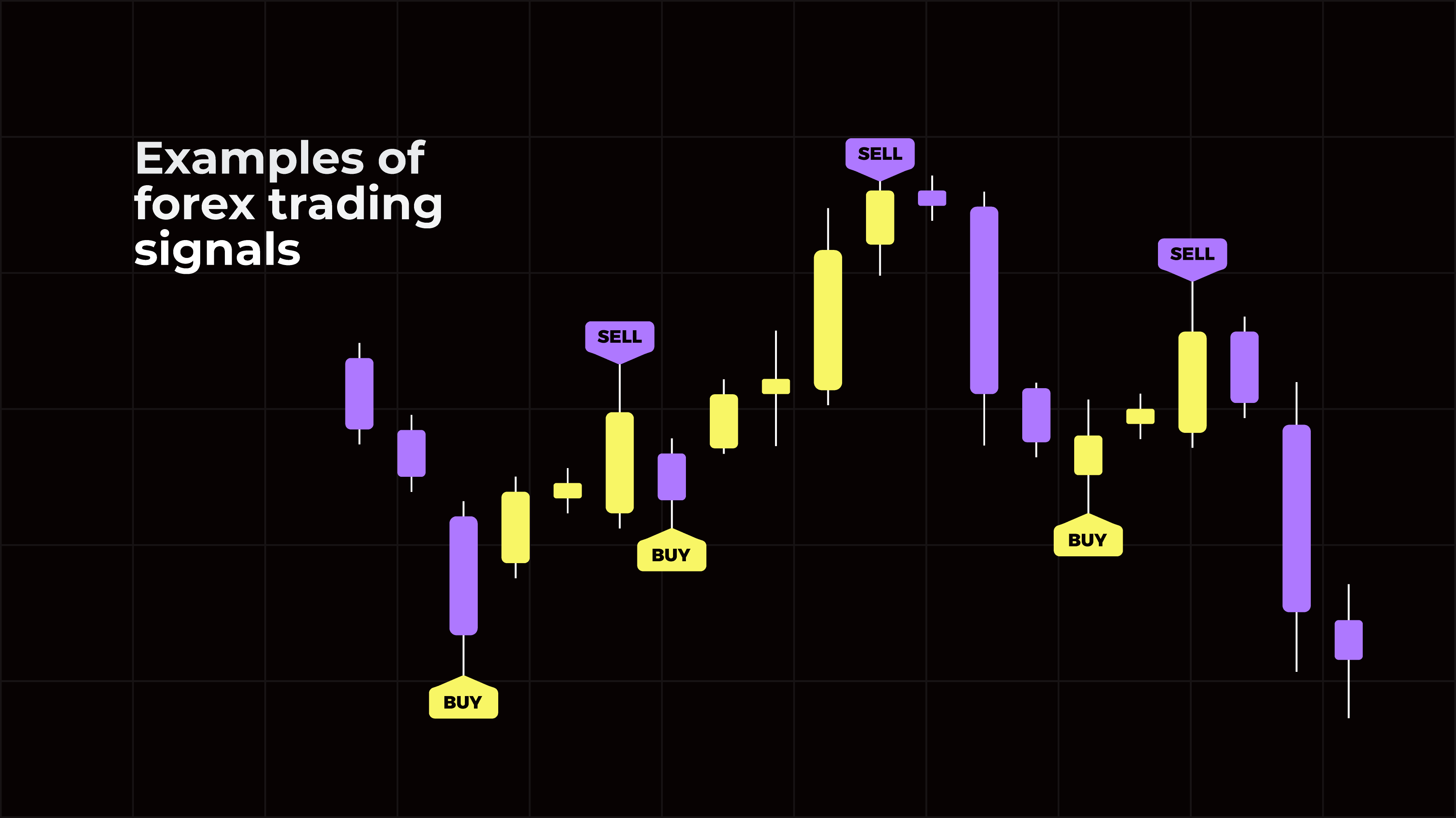 Best Broker For Forex Trading