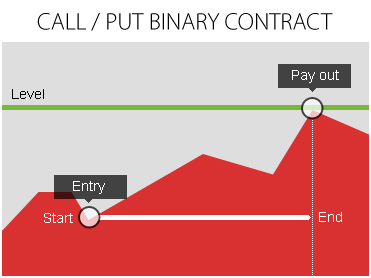 Binary Group Inc 64