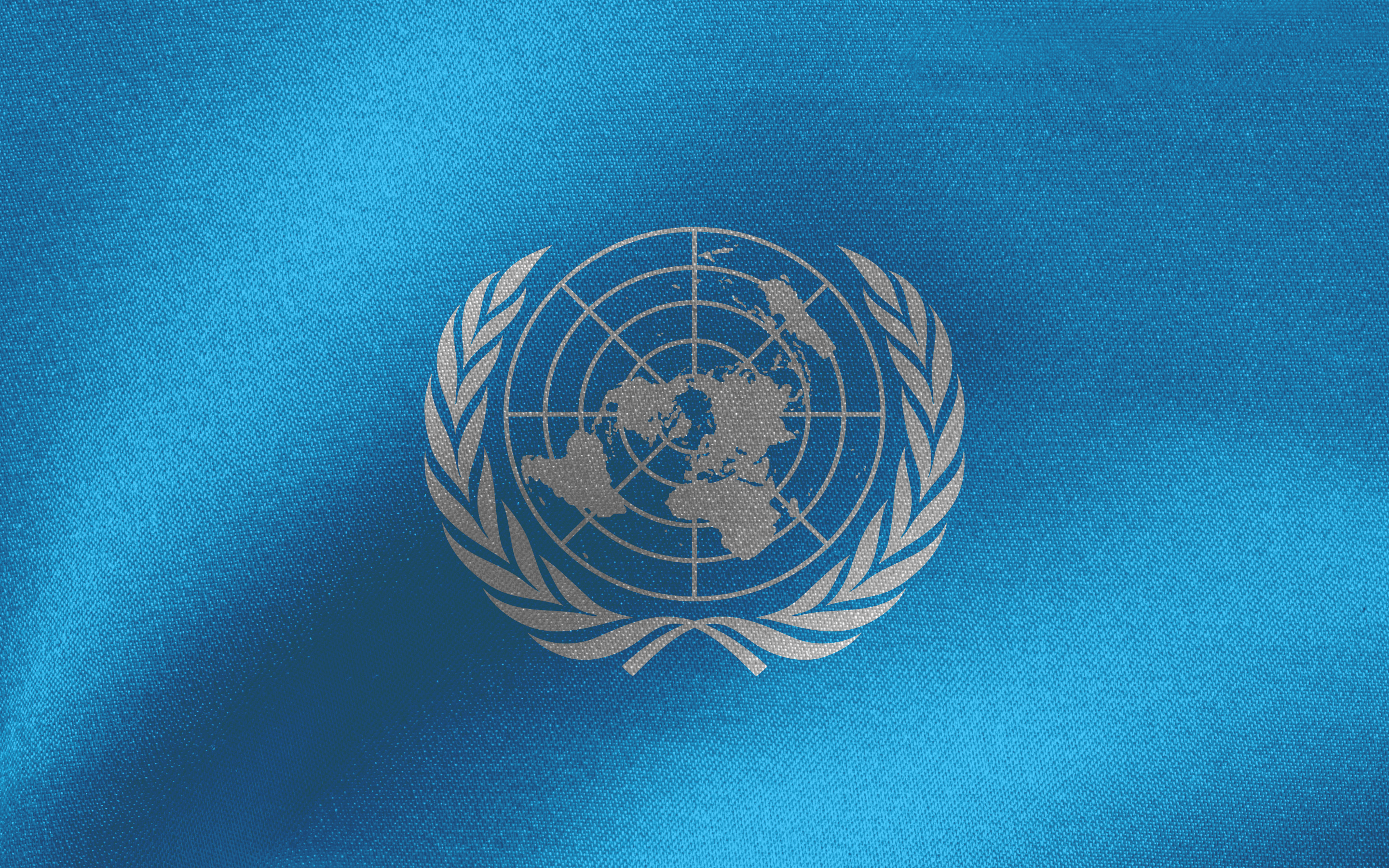 Цвета оон. Европейская экономическая комиссия ООН (ЕЭК ООН). Флаг ООН. Флаг организации Объединенных наций. Логотип ООН.